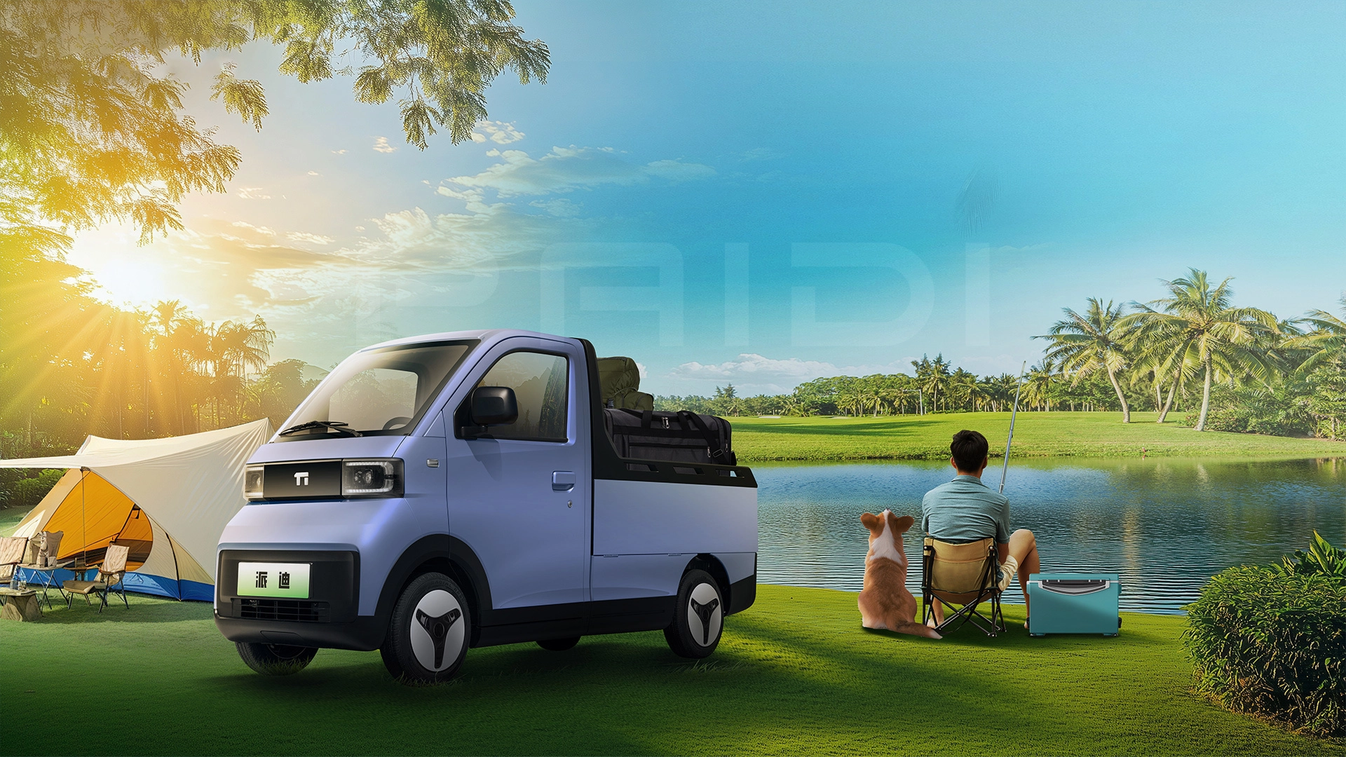 PAIDI Mini-X: Многофункциональный дебют